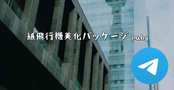 紙飛行機美化パッケージ pubg
