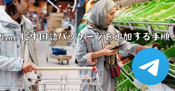Paper Plane に中国語パッケージを追加する手順