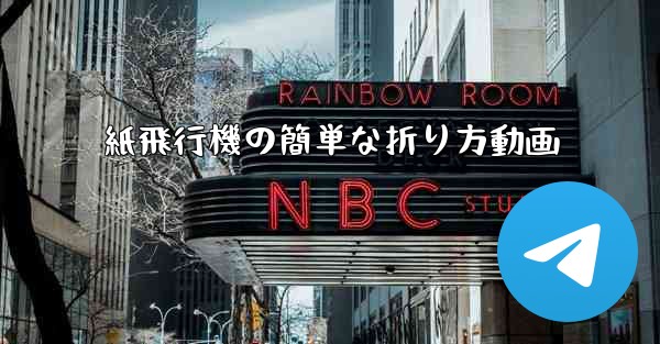 紙飛行機の簡単な折り方動画