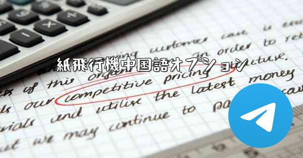 紙飛行機中国語オプション