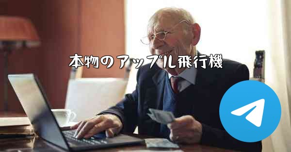 本物のアップル飛行機