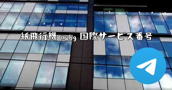紙飛行機 pubg 国際サービス番号
