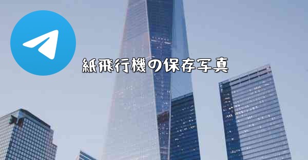 紙飛行機の保存写真