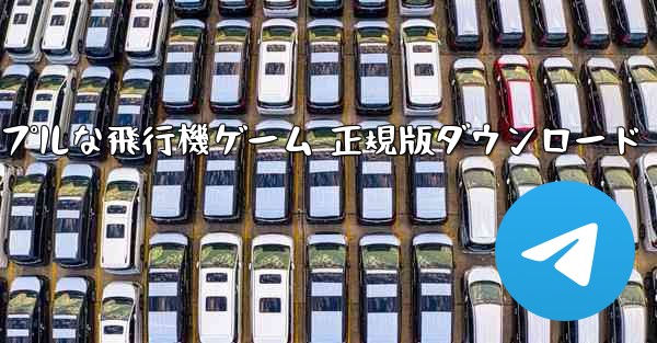 シンプルな飛行機ゲーム 正規版ダウンロード