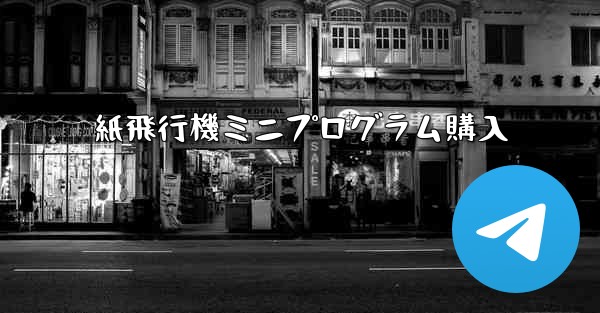 紙飛行機ミニプログラム購入