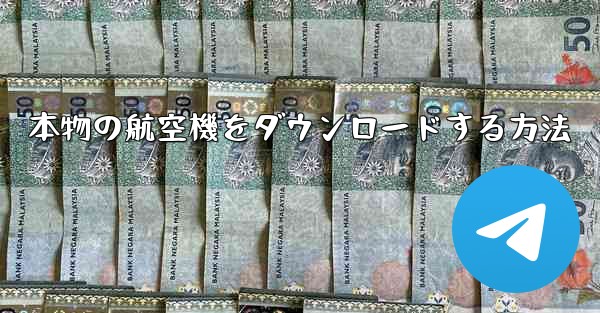 本物の航空機をダウンロードする方法