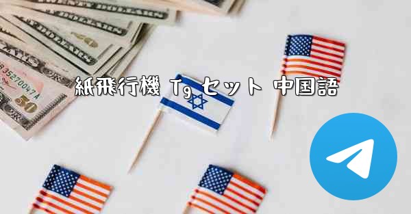 紙飛行機 Tg セット 中国語