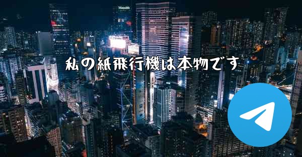 私の紙飛行機は本物です