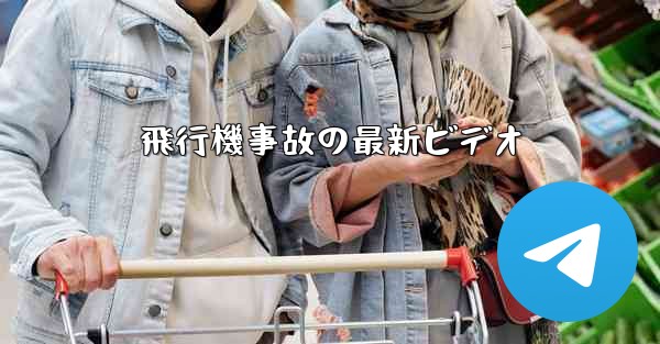 飛行機事故の最新ビデオ