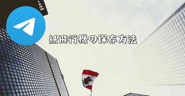 紙飛行機の保存方法
