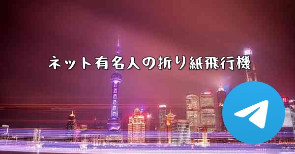ネット有名人の折り紙飛行機