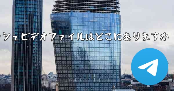 Paper Plane のキャッシュビデオファイルはどこにありますか