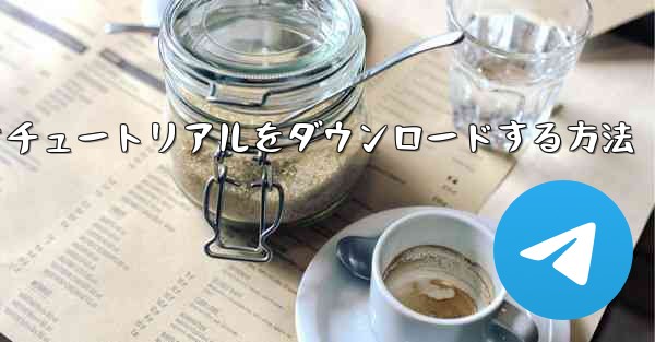 Apple から飛行機のビデオチュートリアルをダウンロードする方法