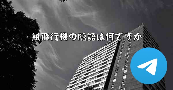 紙飛行機の隠語は何ですか