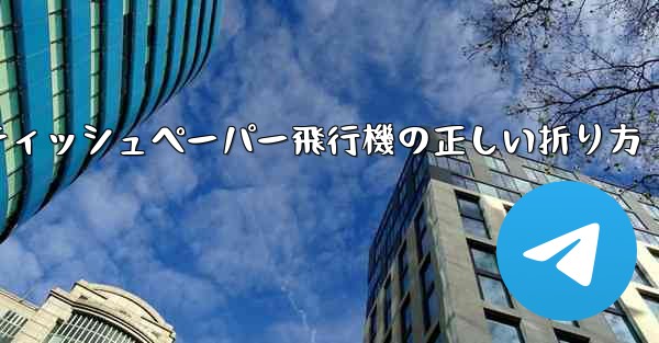 ティッシュペーパー飛行機の正しい折り方