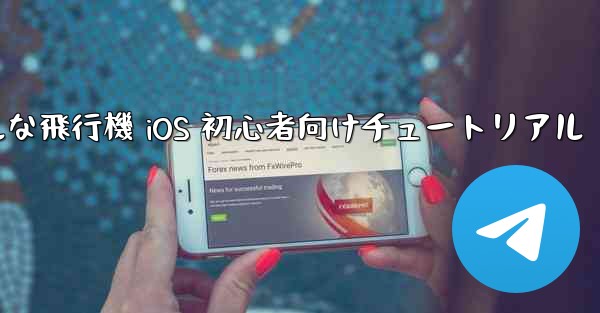 シンプルな飛行機 iOS 初心者向けチュートリアル
