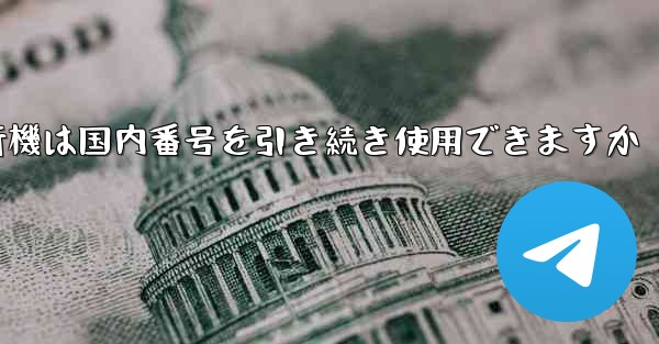 紙飛行機は国内番号を引き続き使用できますか