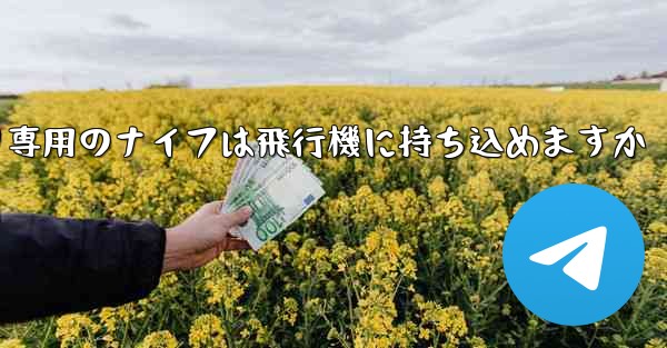 麺切り専用のナイフは飛行機に持ち込めますか