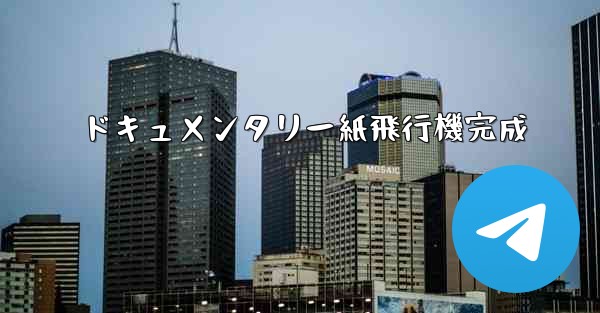 ドキュメンタリー紙飛行機完成