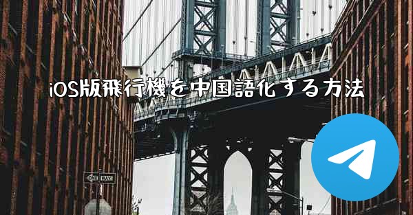 iOS版飛行機を中国語化する方法