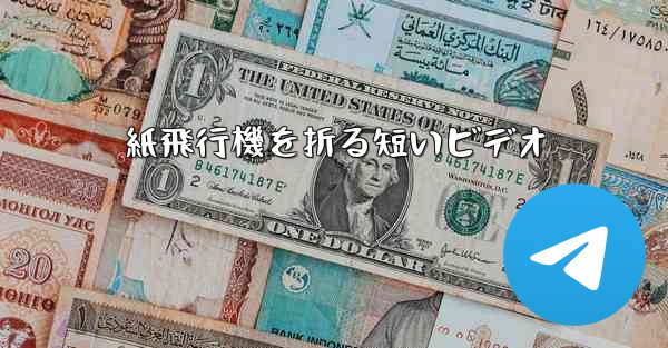 紙飛行機を折る短いビデオ