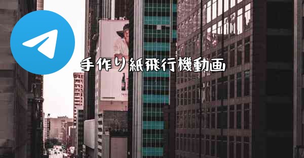 手作り紙飛行機動画