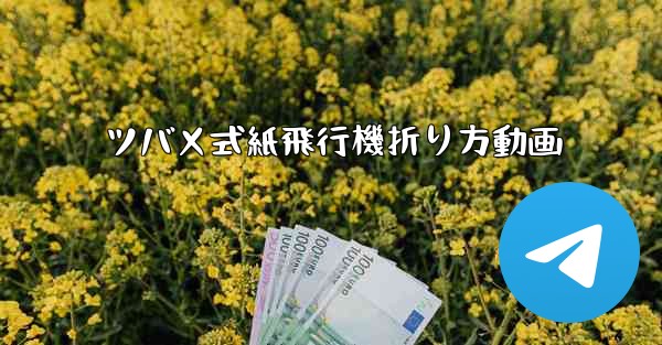 ツバメ式紙飛行機折り方動画
