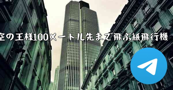 空の王様100メートル先まで飛ぶ紙飛行機