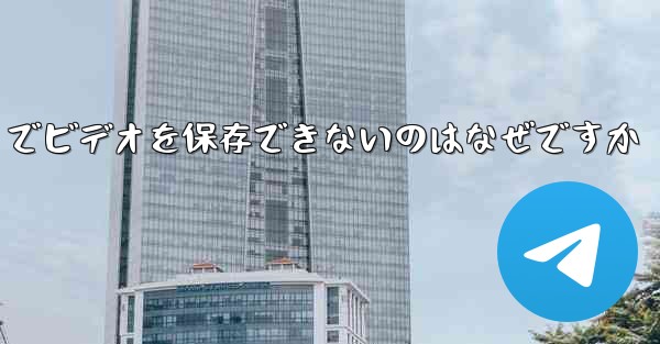 Paper Plane でビデオを保存できないのはなぜですか