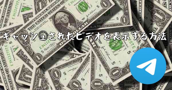 Paper Plane でキャッシュされたビデオを表示する方法