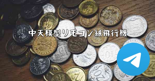 中天模型リモコン紙飛行機