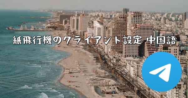 紙飛行機のクライアント設定 中国語