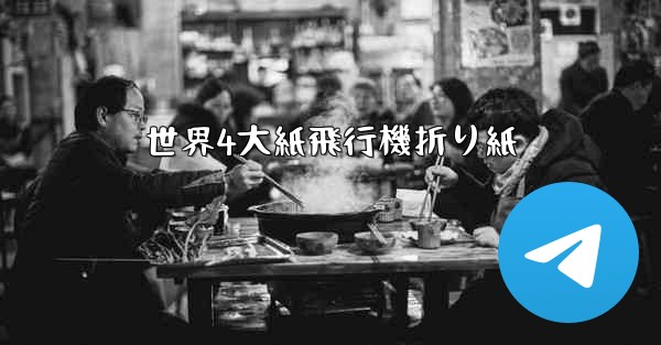 世界4大紙飛行機折り紙