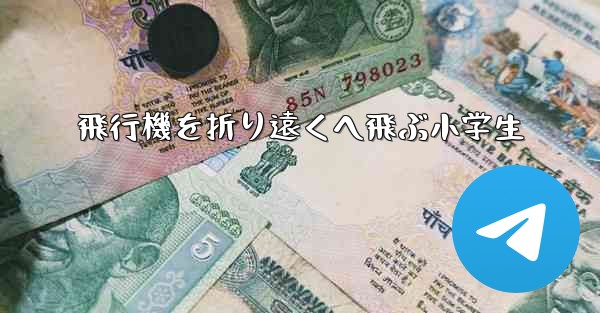 飛行機を折り遠くへ飛ぶ小学生