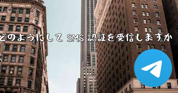Paper Plane はどのようにして SMS 認証を受信しますか