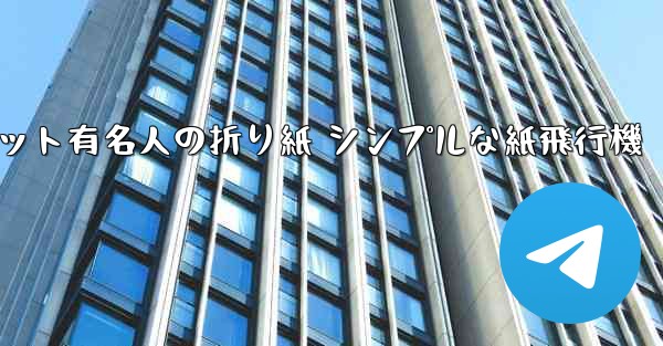超遠くまで飛んでください インターネット有名人の折り紙 シンプルな紙飛行機