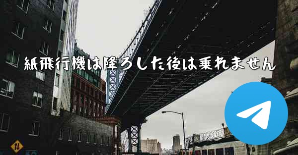 紙飛行機は降ろした後は乗れません