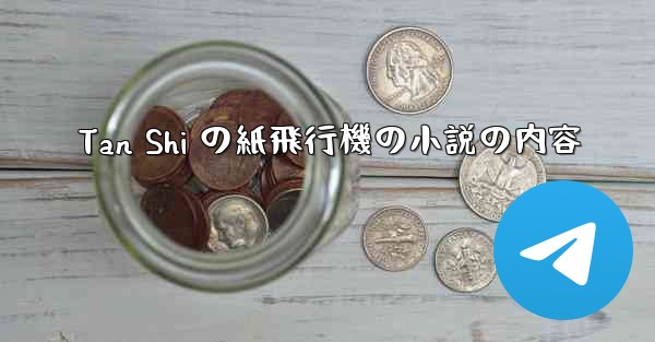 Tan Shi の紙飛行機の小説の内容