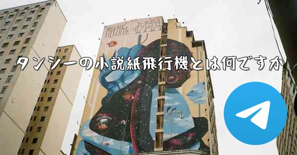 タンシーの小説紙飛行機とは何ですか