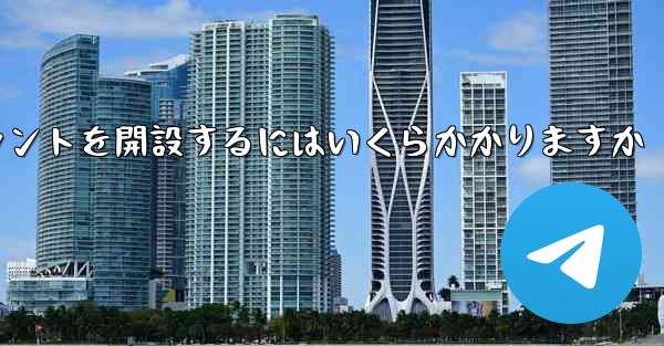 紙飛行機のアカウントを開設するにはいくらかかりますか