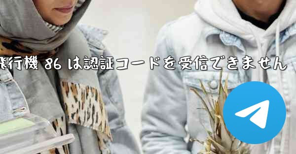 紙飛行機 86 は認証コードを受信できません