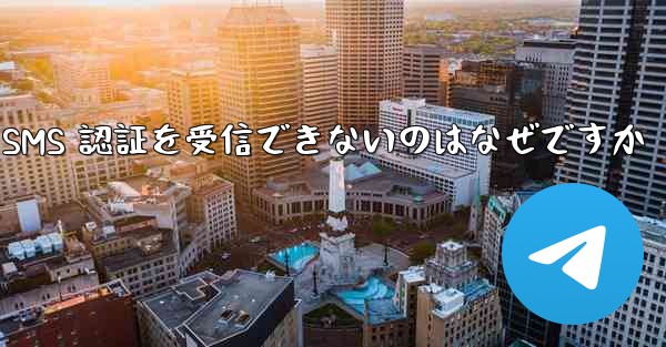 Paper Plane が SMS 認証を受信できないのはなぜですか