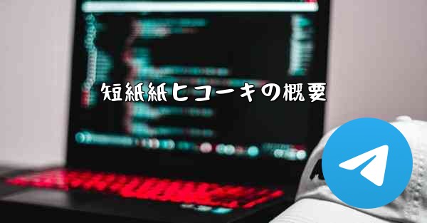 短紙紙ヒコーキの概要