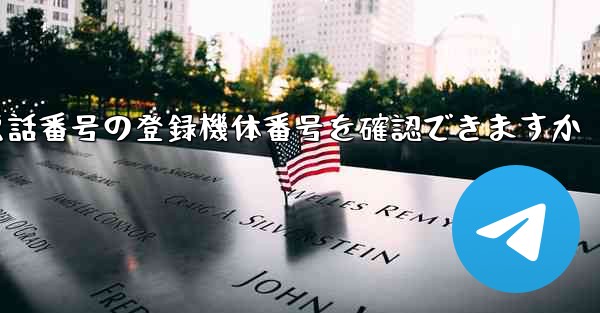 国内携帯電話番号の登録機体番号を確認できますか