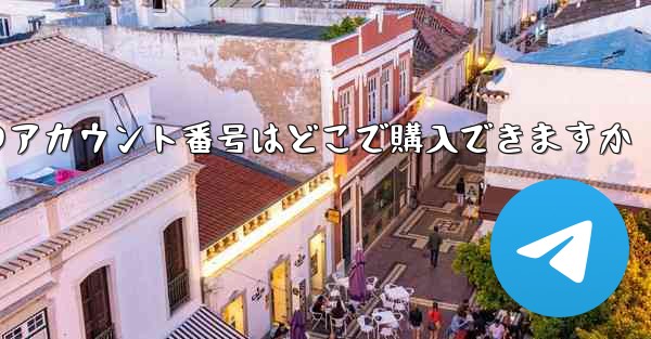 紙飛行機のアカウント番号はどこで購入できますか