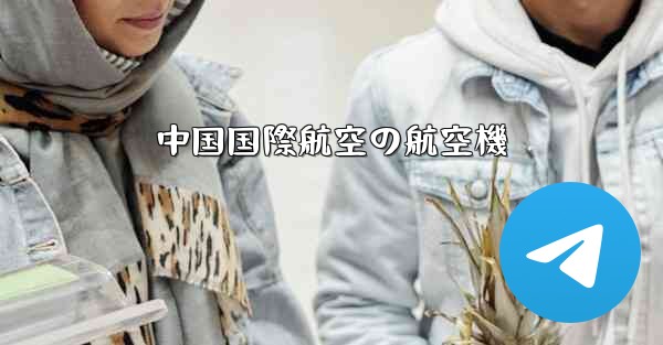 中国国際航空の航空機