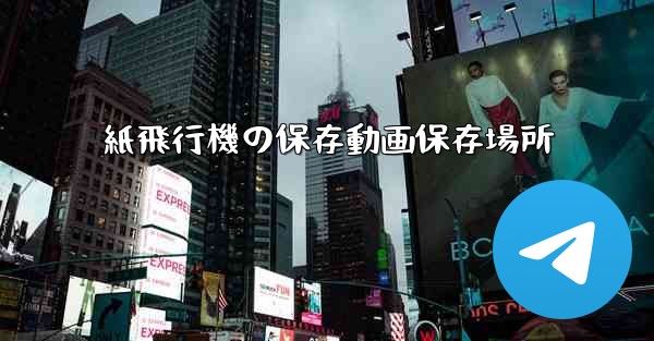 紙飛行機の保存動画保存場所