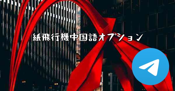 紙飛行機中国語オプション