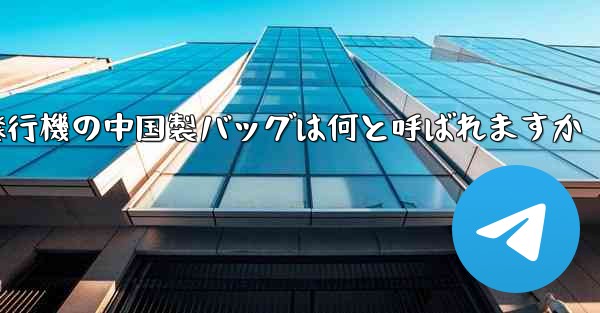 紙飛行機の中国製バッグは何と呼ばれますか