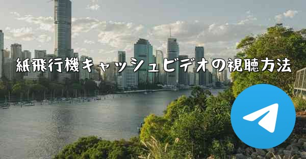 紙飛行機キャッシュビデオの視聴方法